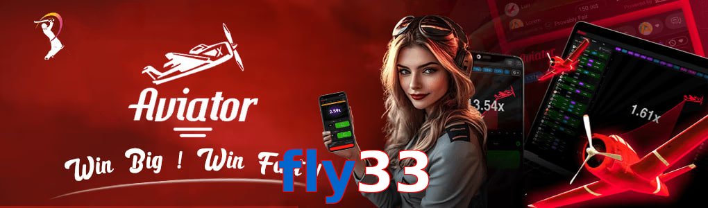 Fly33